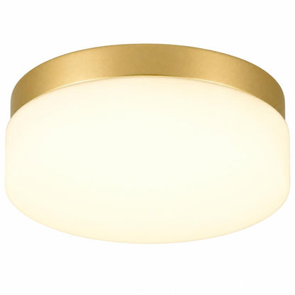 11" Black Metal And Frosted Glass Flush Mount Ceiling Light HomeRoots