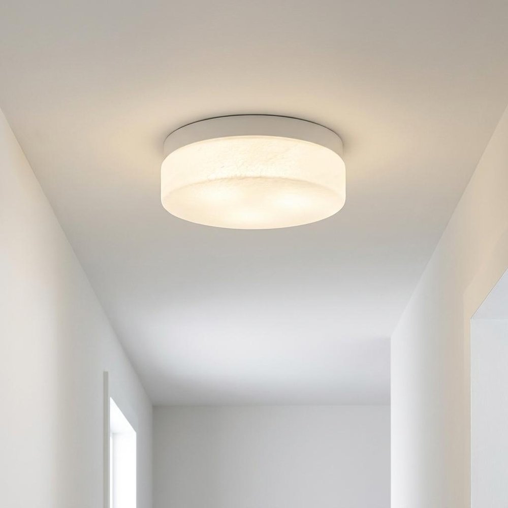 11" Black Metal And Frosted Glass Flush Mount Ceiling Light HomeRoots