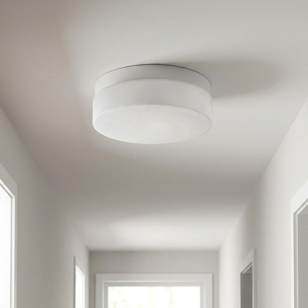 11" Black Metal And Frosted Glass Flush Mount Ceiling Light HomeRoots