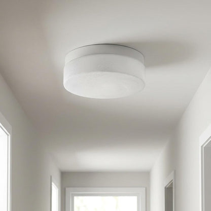 11" Black Metal And Frosted Glass Flush Mount Ceiling Light HomeRoots