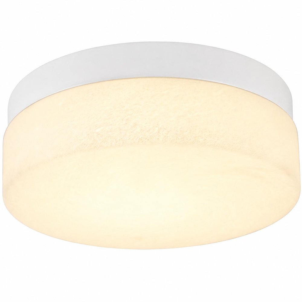 11" Black Metal And Frosted Glass Flush Mount Ceiling Light HomeRoots