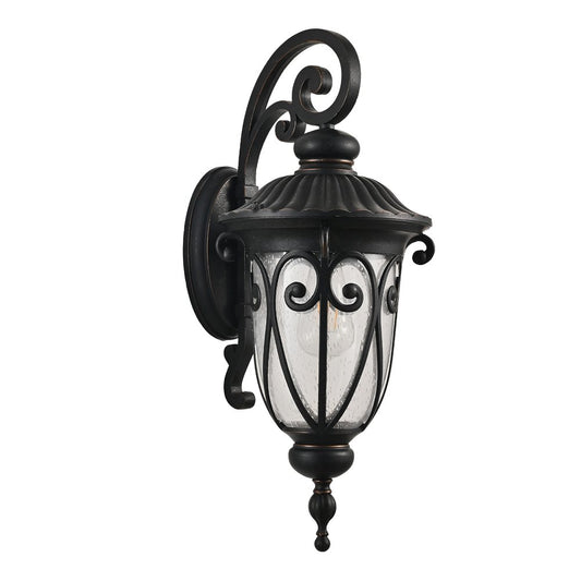 Black Transparent Outdoor Hanging Light With Clear Shades