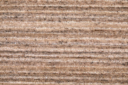 10' X 14' Tan Brown And Gray Handmade Indoor Outdoor Area Rug HomeRoots