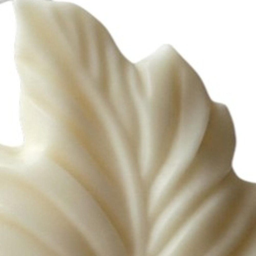 6" Ivory Honeysuckle Scented Dimensional Feather Candle Novelty Novelty