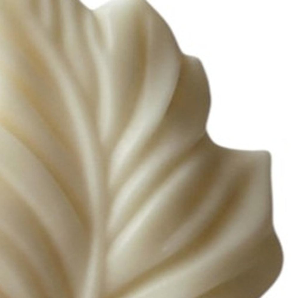 6" Ivory Honeysuckle Scented Dimensional Feather Candle Novelty Novelty