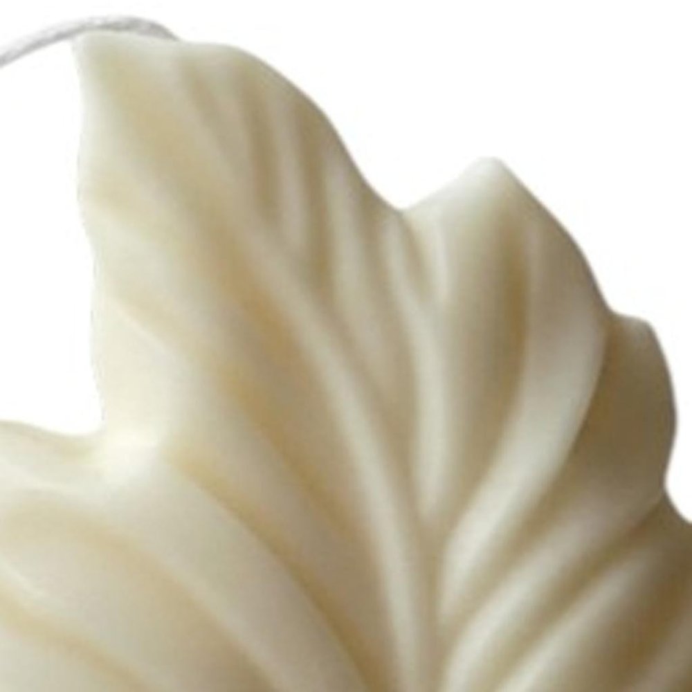 6" Ivory Honeysuckle Scented Dimensional Feather Candle Novelty Novelty — view 41