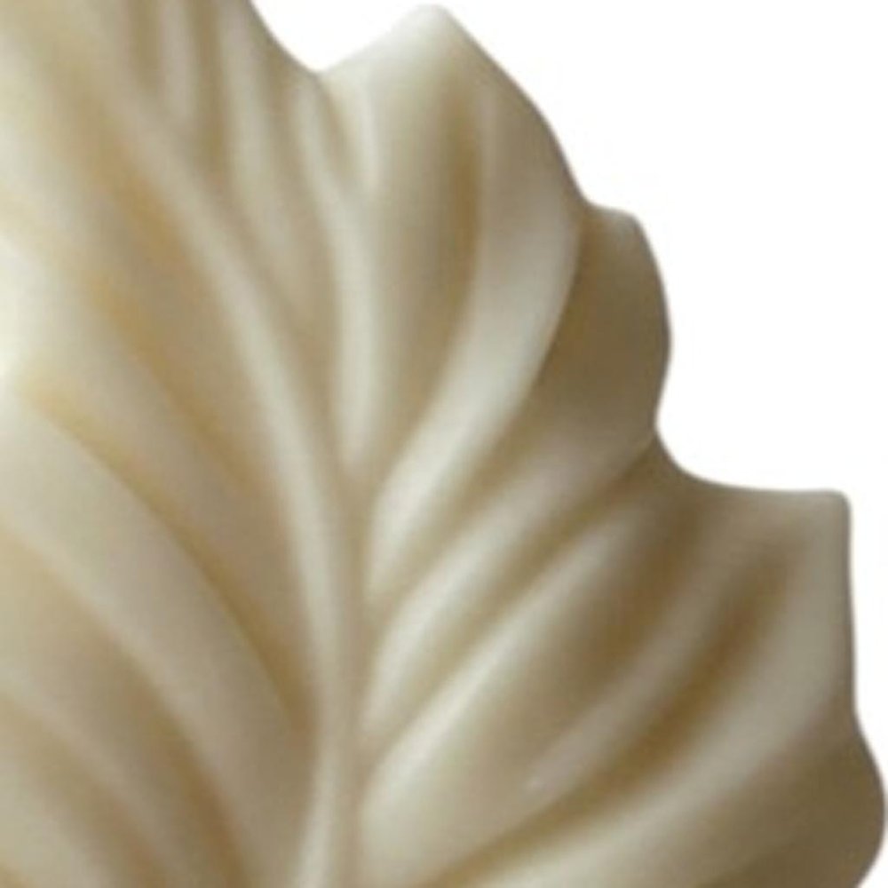6" Ivory Honeysuckle Scented Dimensional Feather Candle Novelty Novelty