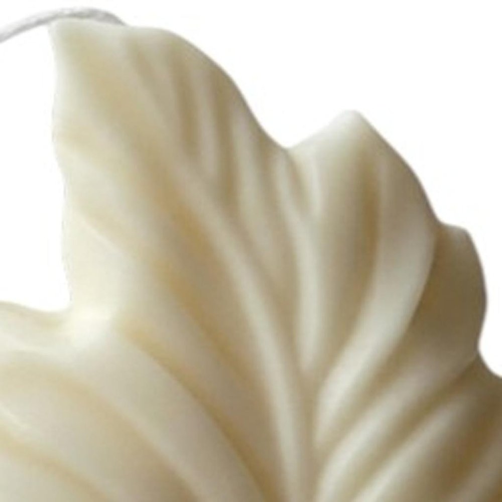 6" Ivory Honeysuckle Scented Dimensional Feather Candle Novelty Novelty — view 50