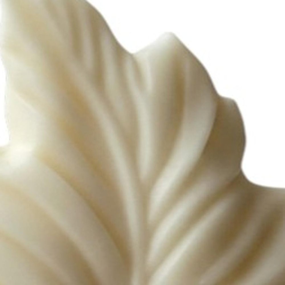 6" Ivory Honeysuckle Scented Dimensional Feather Candle Novelty Novelty — view 53
