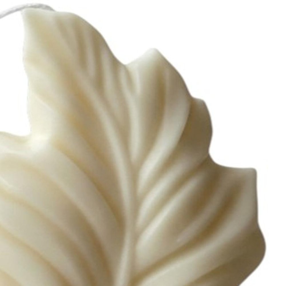 6" Ivory Honeysuckle Scented Dimensional Feather Candle Novelty Novelty