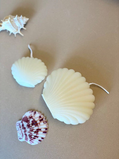 3" Ivory Black Ice Scented Dimensional Seashell Candle HomeRoots