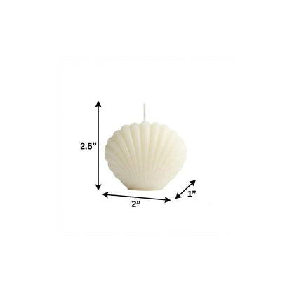3" Ivory Black Ice Scented Dimensional Seashell Candle HomeRoots