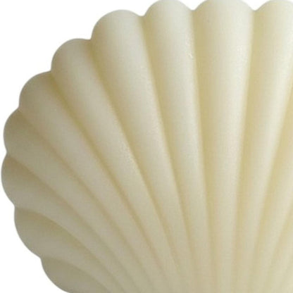 4" Ivory Black Ice Scented Dimensional Seashell Candle HomeRoots