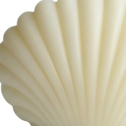 4" Ivory Wild Lavender And Sage Scented Dimensional Seashell Candle