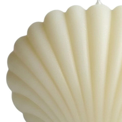 4" Ivory Black Ice Scented Dimensional Seashell Candle HomeRoots