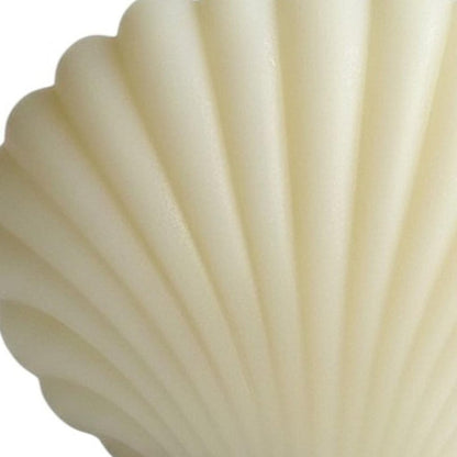 4" Ivory Black Ice Scented Dimensional Seashell Candle HomeRoots