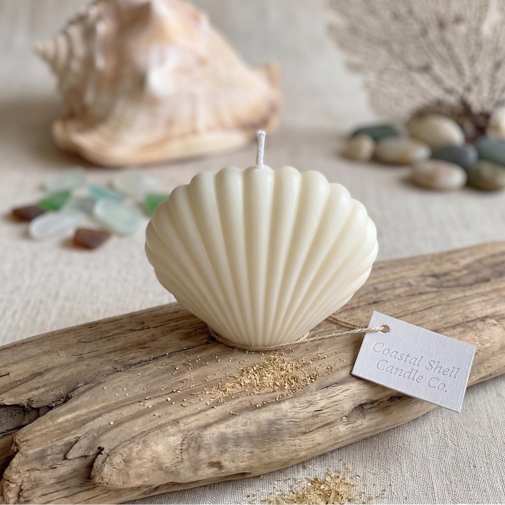 4" Ivory Unscented Dimensional Seashell Candle