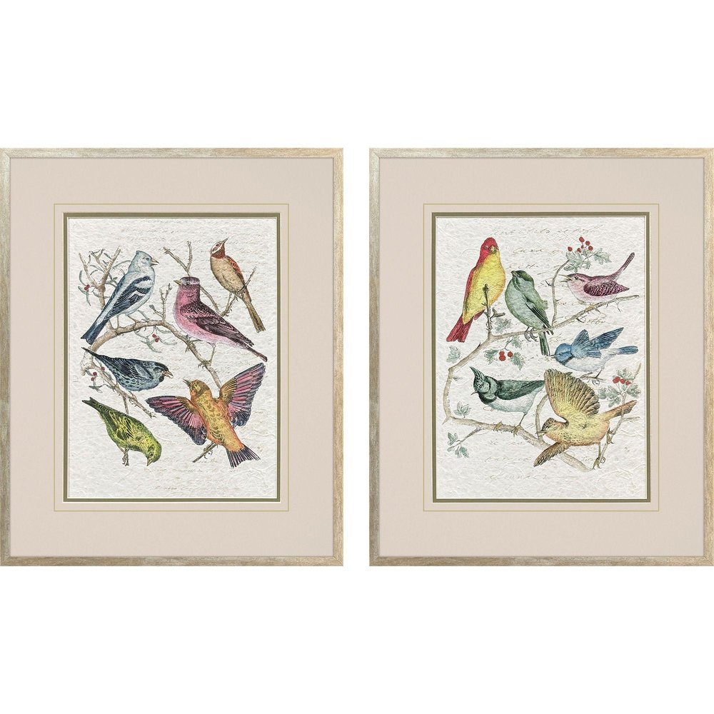 Set Of Two Bird Variety Set of Set Silver Framed Wall Art HomeRoots