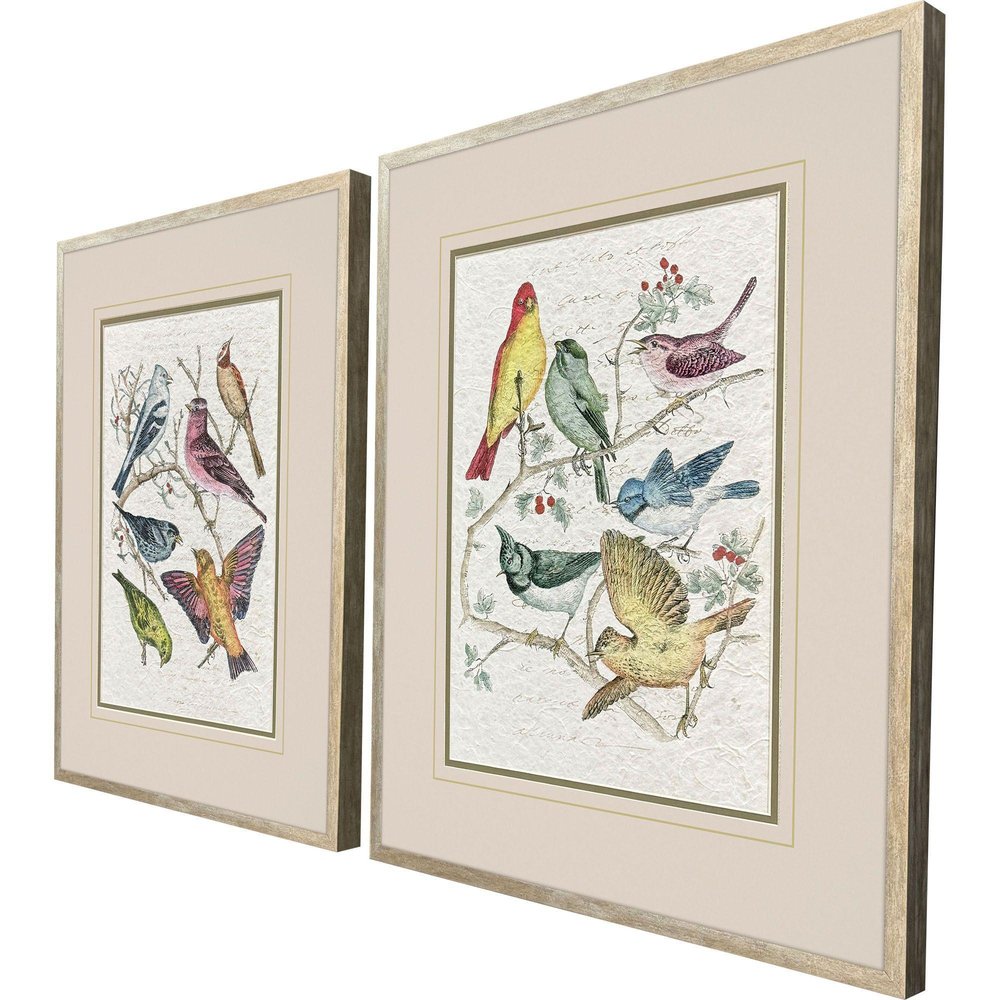 Set Of Two Bird Variety Set of Set Silver Framed Wall Art HomeRoots