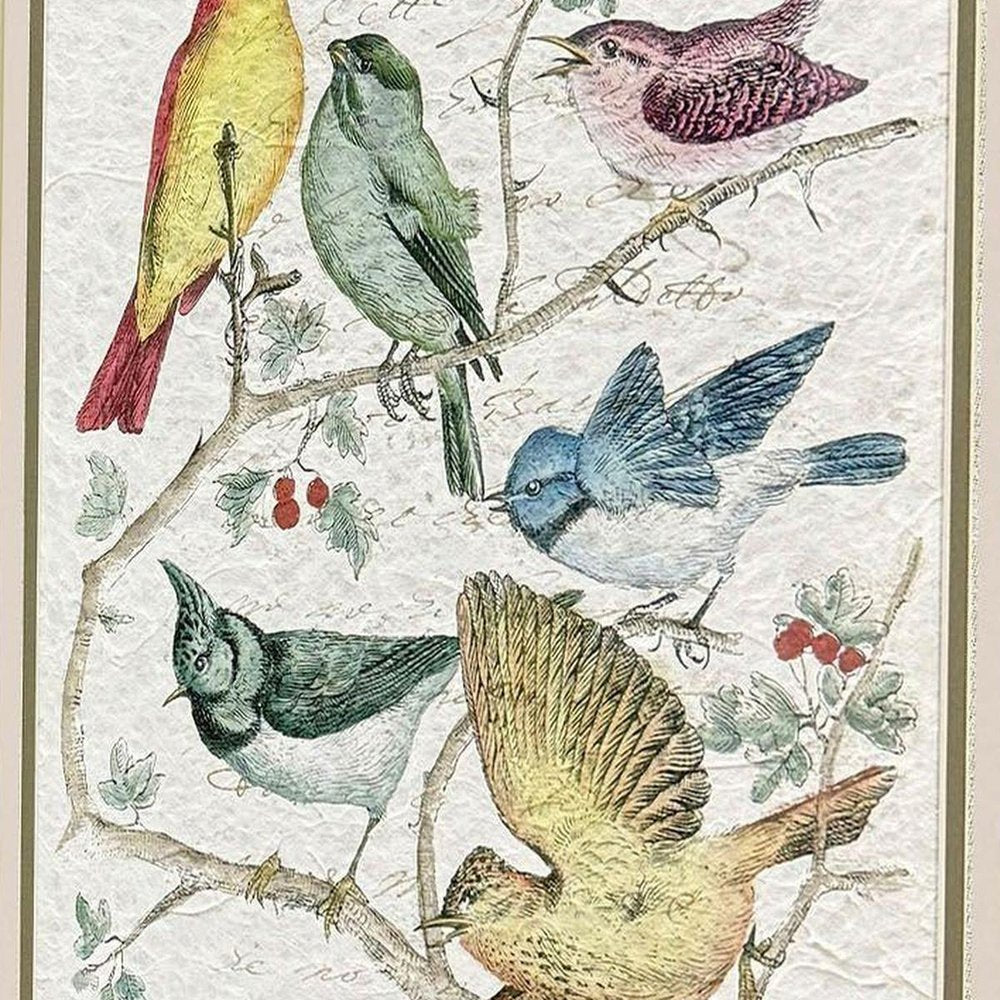 Set Of Two Bird Variety Set of Set Silver Framed Wall Art — view 5