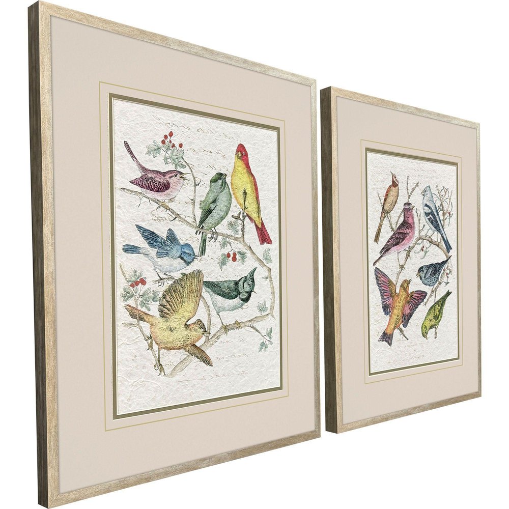 Set Of Two Bird Variety Set of Set Silver Framed Wall Art HomeRoots