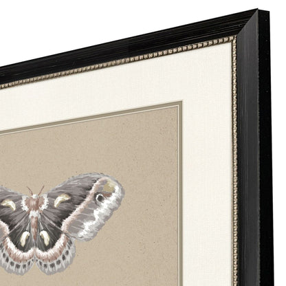 Set Of Two Beauty of the Forest Set of Set Black Framed Wall Art