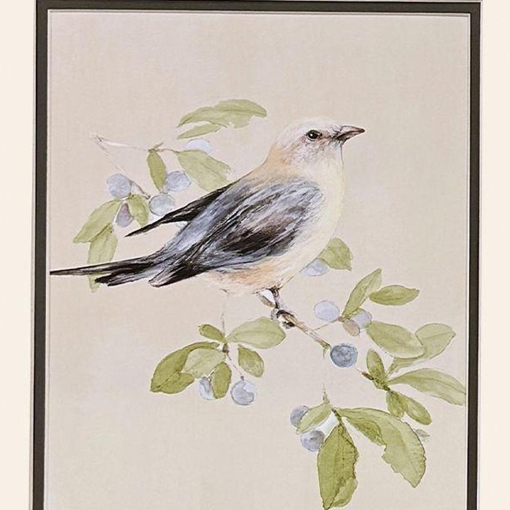 Set Of Two Botanical Birds Set of Set Gold Framed Wall Art HomeRoots
