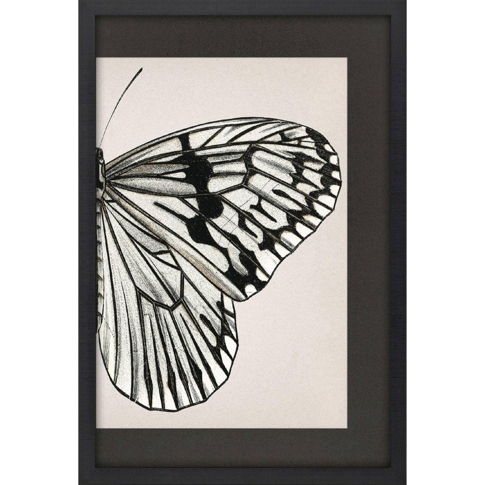 Grand Butterfly II Black Framed Wall Art HomeRoots