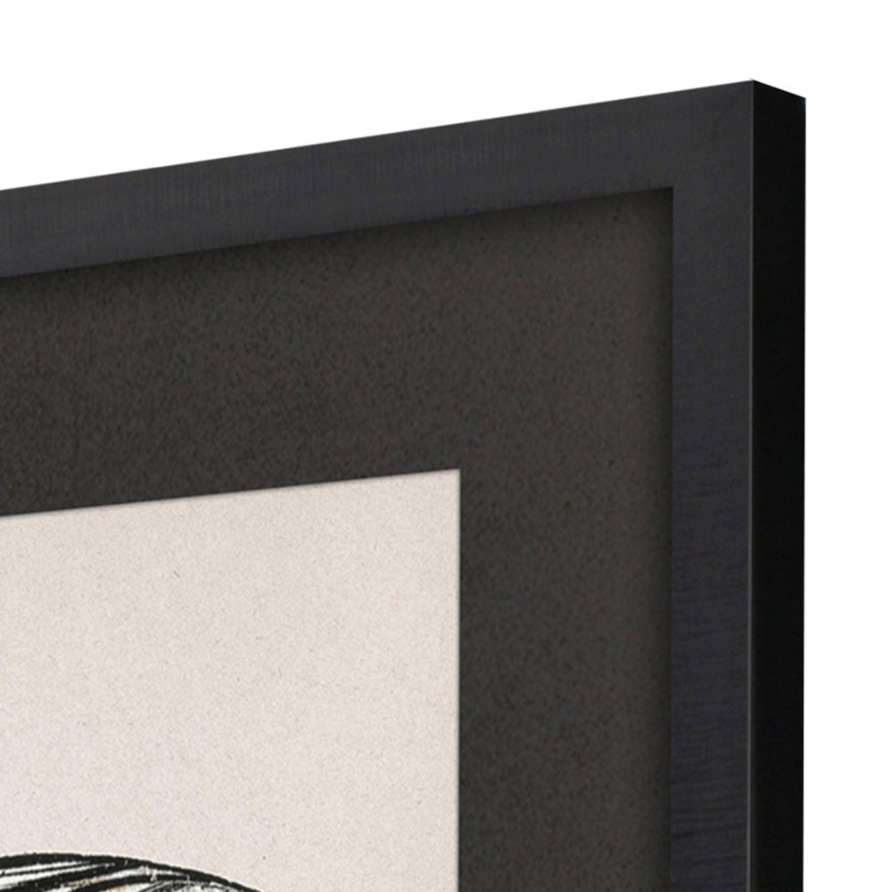 Grand Butterfly II Black Framed Wall Art HomeRoots