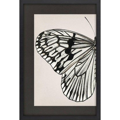 Grand Butterfly II Black Framed Wall Art HomeRoots