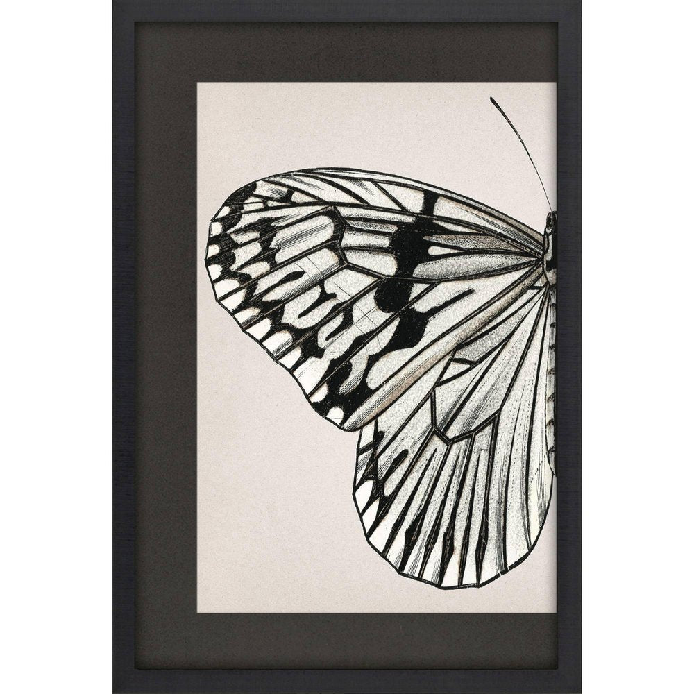 Grand Butterfly II Black Framed Wall Art HomeRoots