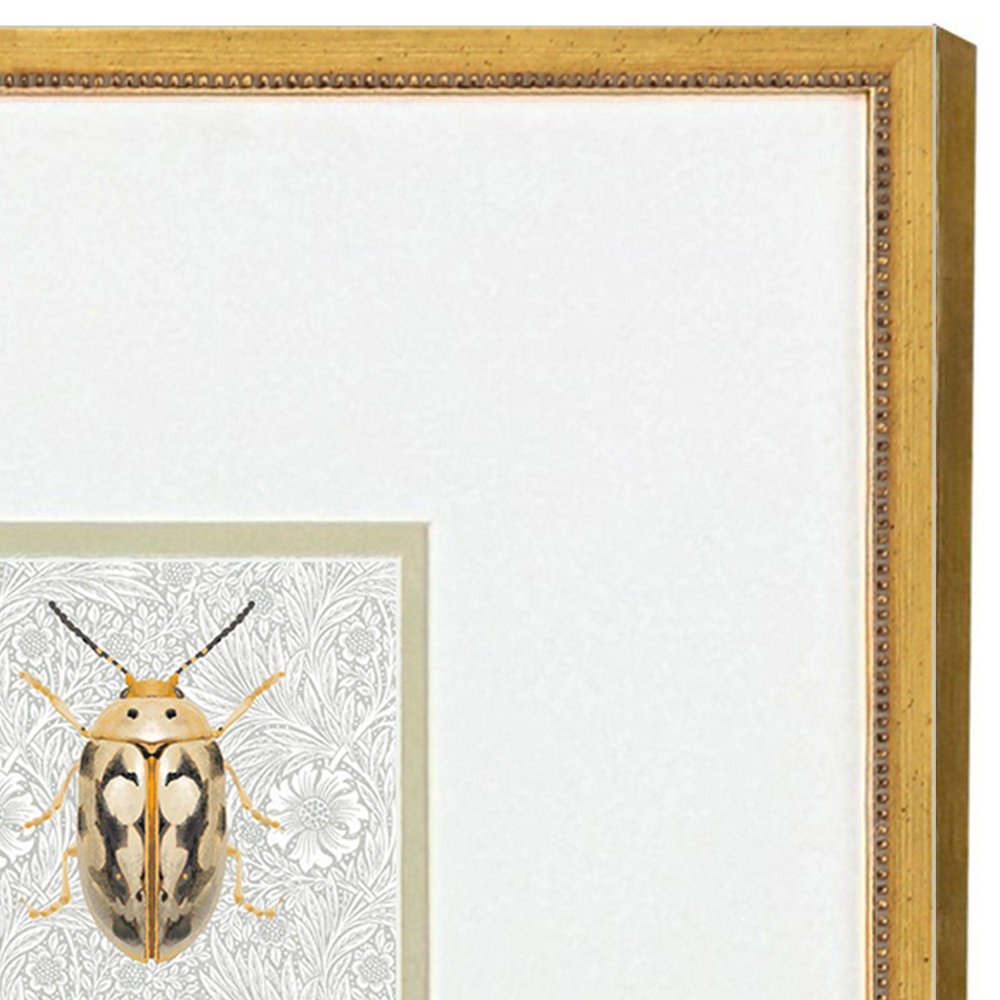 Set Of Two Beetles Set of Set Gold Framed Wall Art HomeRoots