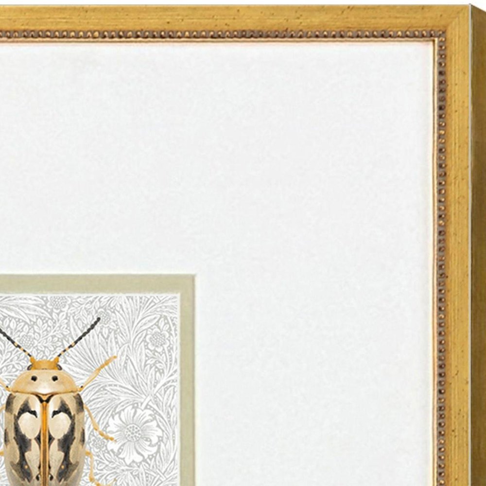 Set Of Two Beetles Set of Set Gold Framed Wall Art HomeRoots