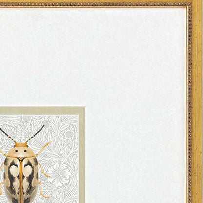 Set Of Two Beetles Set of Set Gold Framed Wall Art HomeRoots