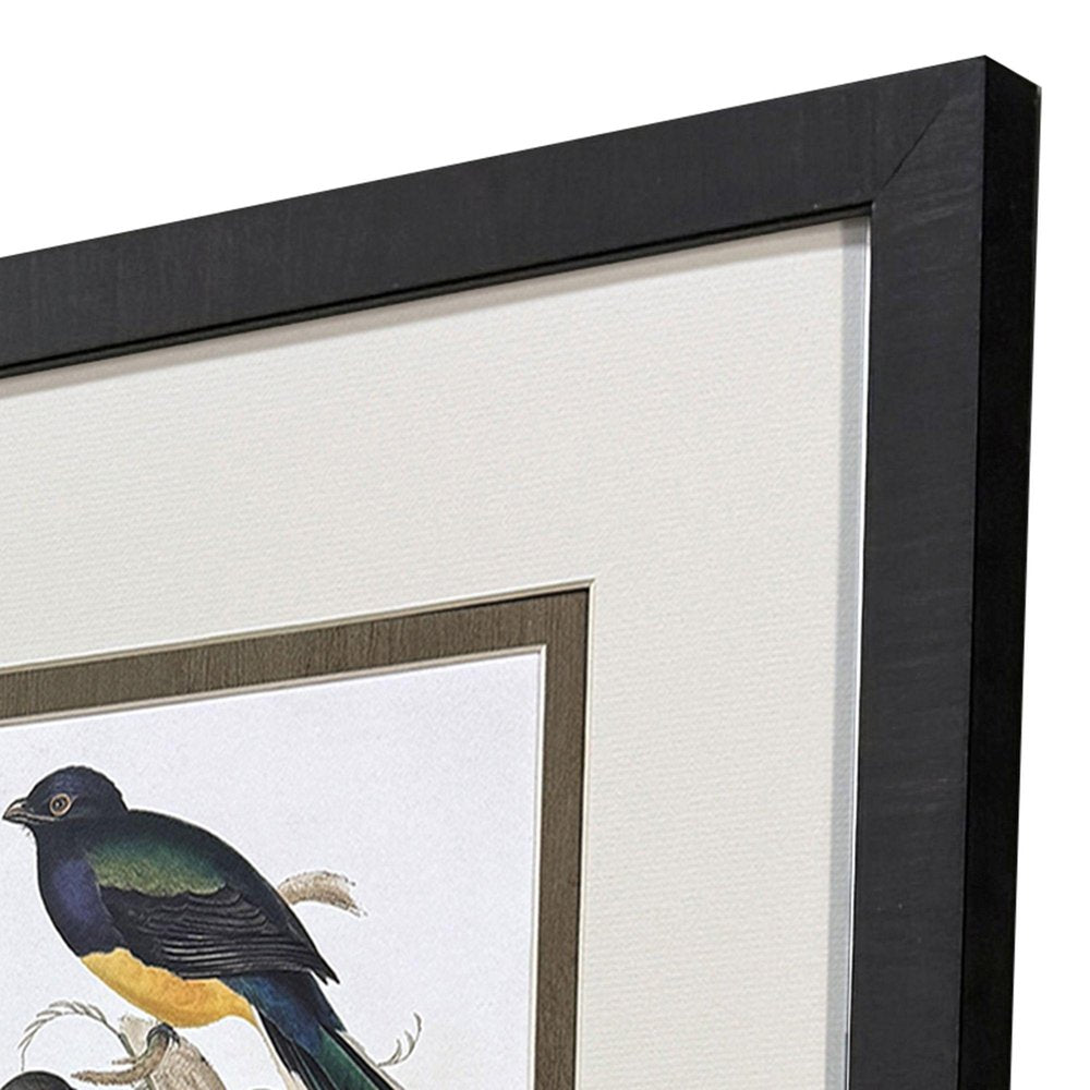 Set Of Four Elegant Trogons Set of Set Brown Framed Wall Art — view 3