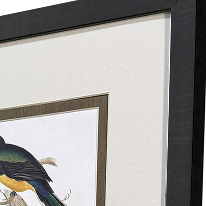 Set Of Four Elegant Trogons Set of Set Brown Framed Wall Art HomeRoots