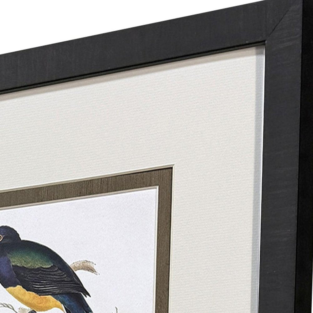 Set Of Four Elegant Trogons Set of Set Brown Framed Wall Art HomeRoots