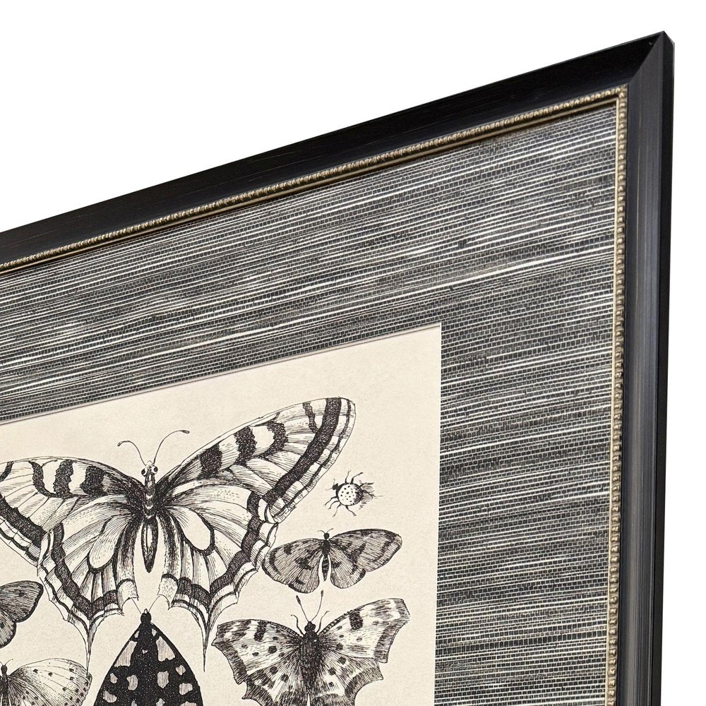 Set Of Four Anthropod Collection Set of Set Black Framed Wall Art