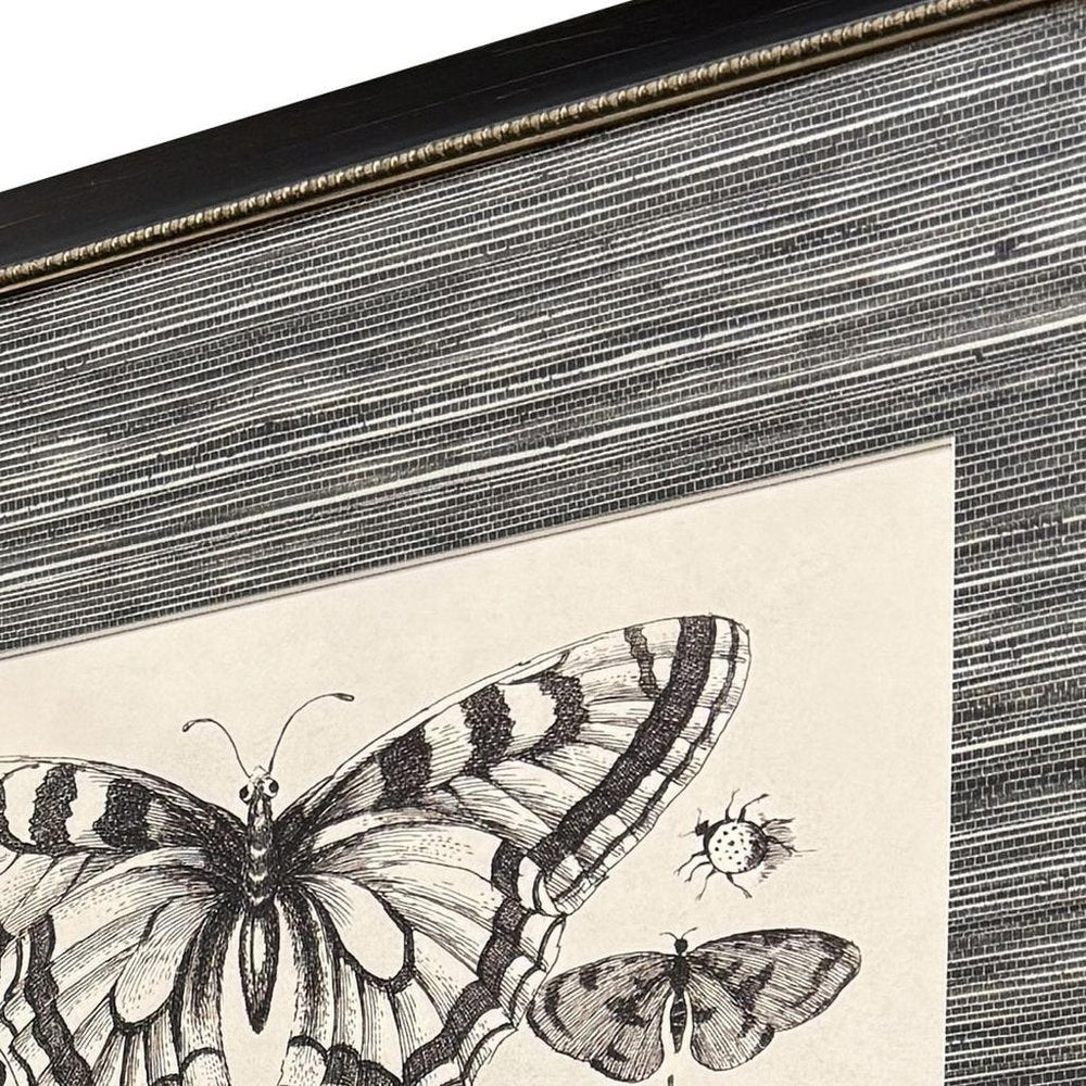 Set Of Four Anthropod Collection Set of Set Black Framed Wall Art — view 2