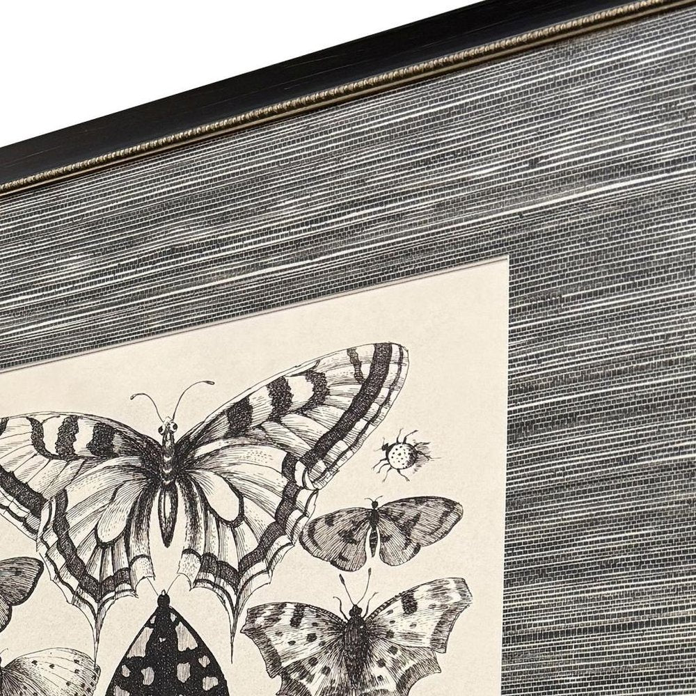Set Of Four Anthropod Collection Set of Set Black Framed Wall Art — view 3
