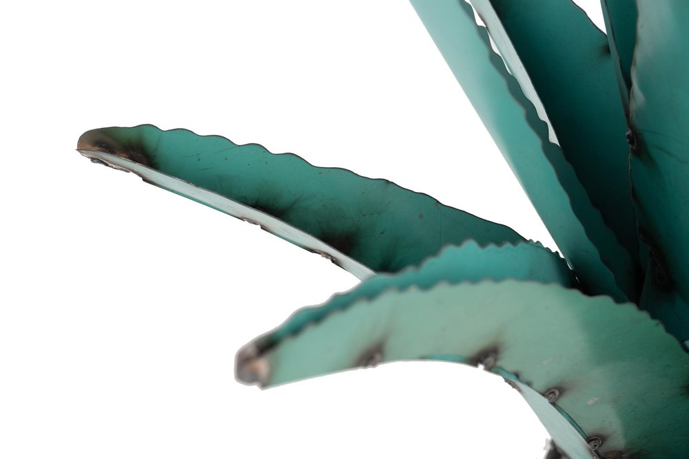 20" Turquoise Metal Succulent Garden Hanging Wall or Door Decor HomeRoots
