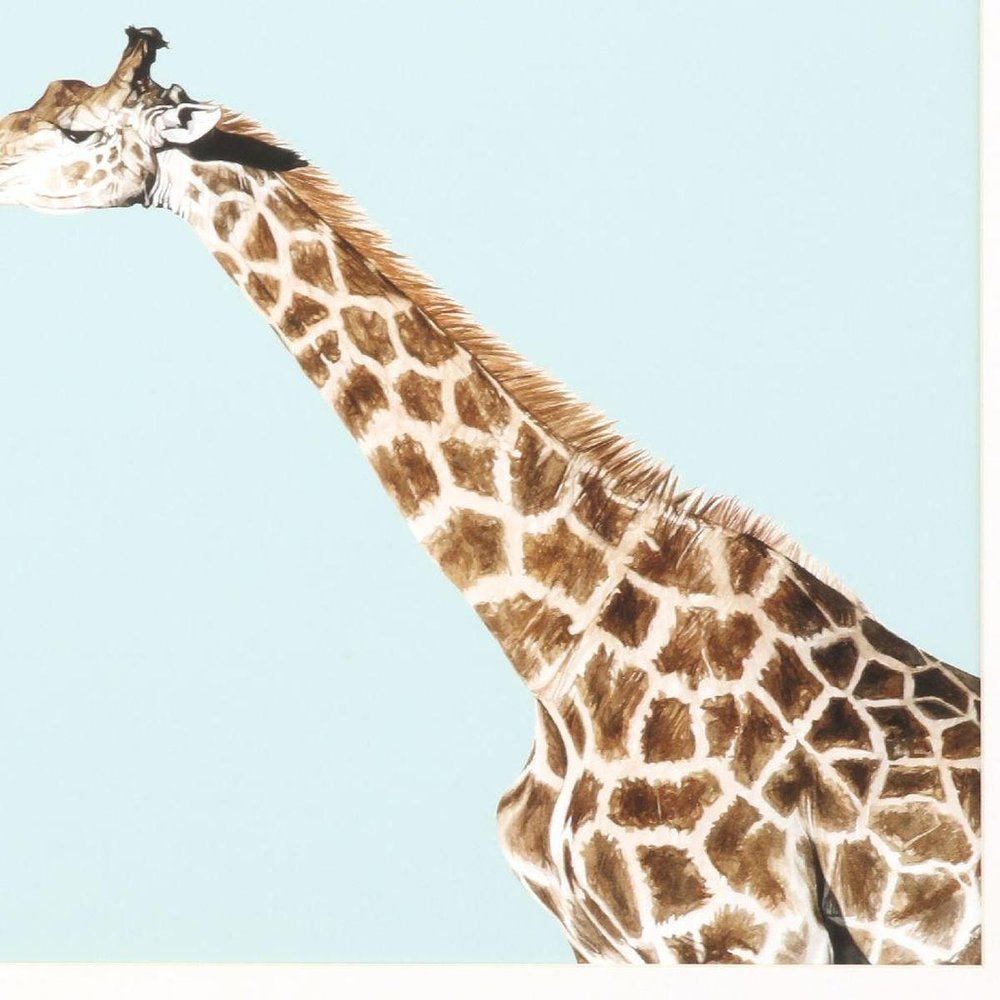 Giraffe Pop White Framed Wall Art HomeRoots