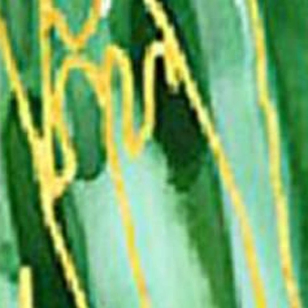 Spectrum Palm Fronds IV Distressed White Framed Wall Art HomeRoots