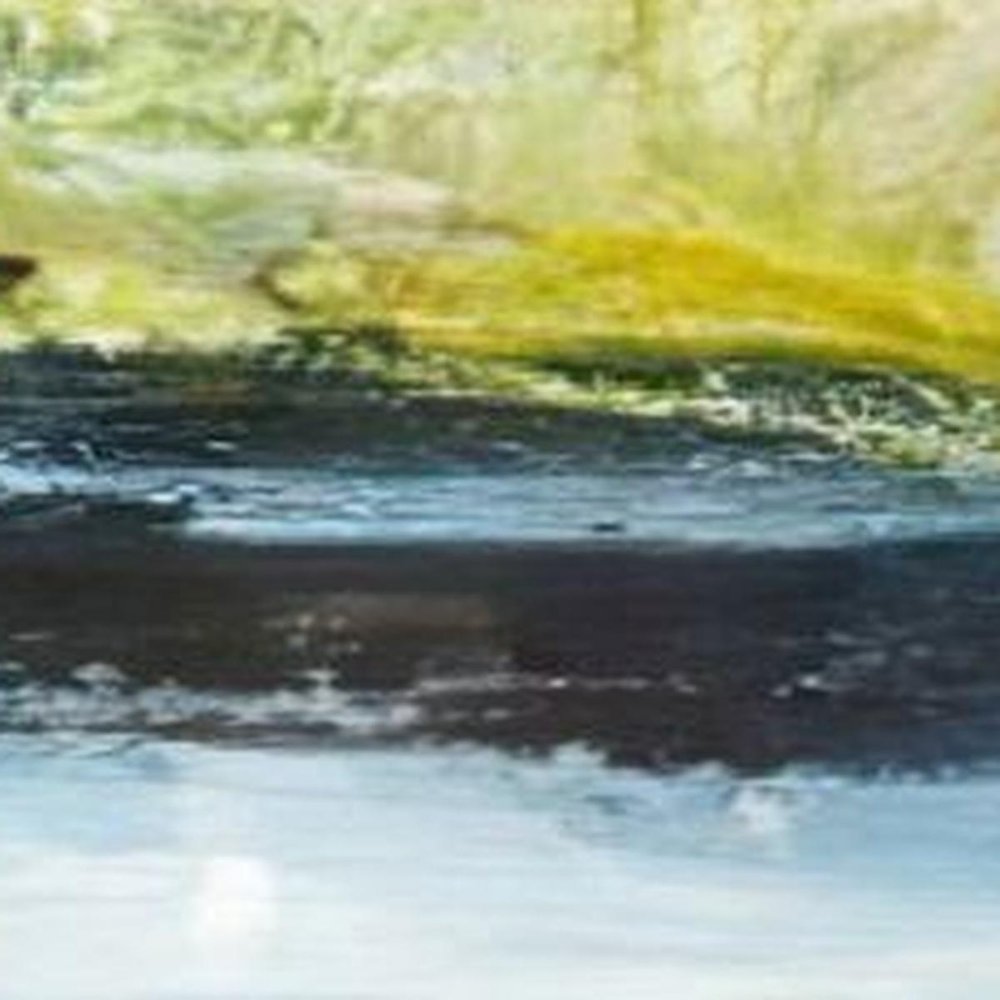 Marshlands II Distressed White Framed Wall Art HomeRoots