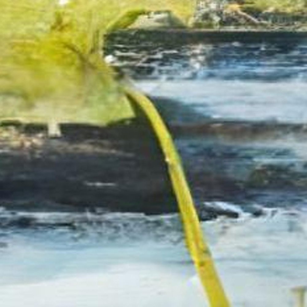 Marshlands II Distressed White Framed Wall Art — view 3