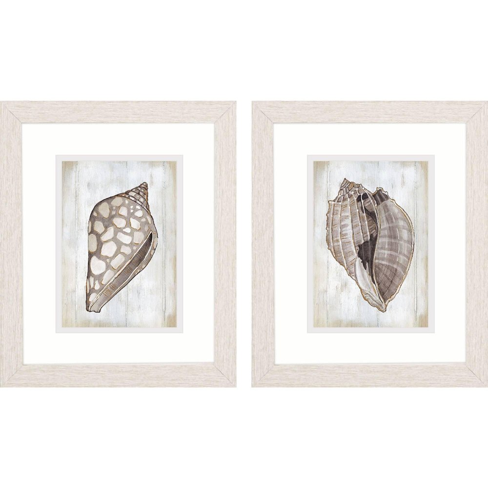 Set Of Two Ocean Cone Distressed White Framed Wall Art — view 1