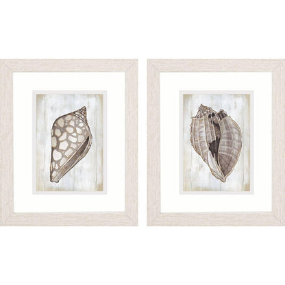 Set Of Two Ocean Cone Distressed White Framed Wall Art HomeRoots