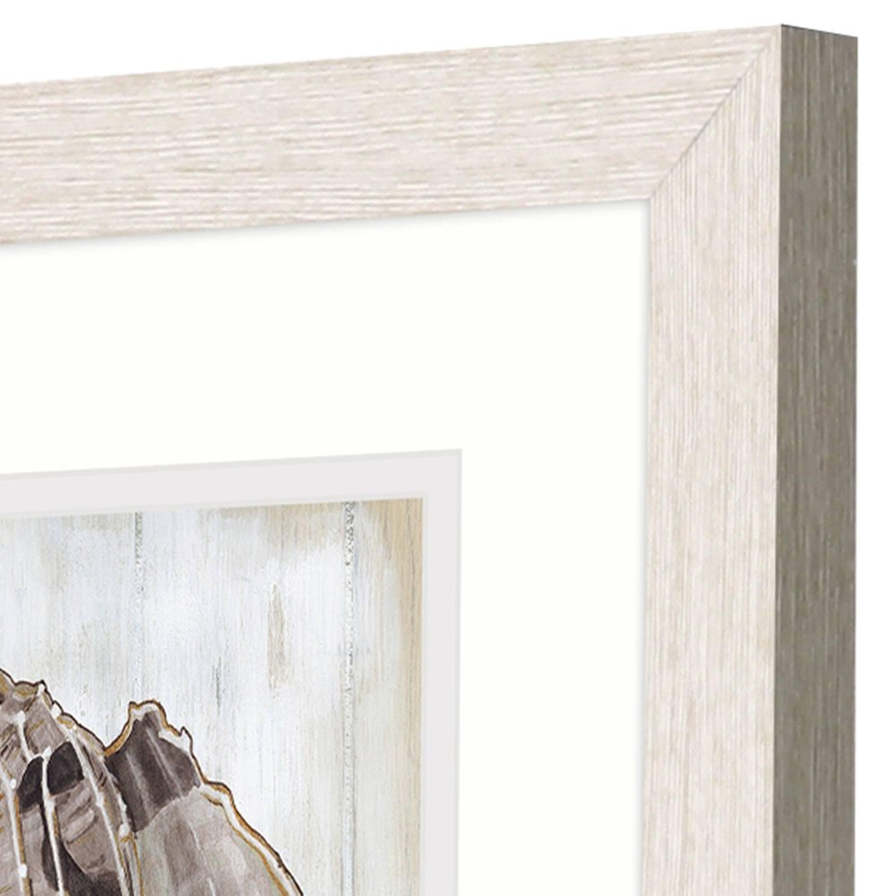Set Of Two Ocean Cone Distressed White Framed Wall Art HomeRoots