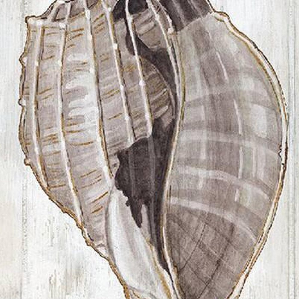 Set Of Two Ocean Cone Distressed White Framed Wall Art HomeRoots