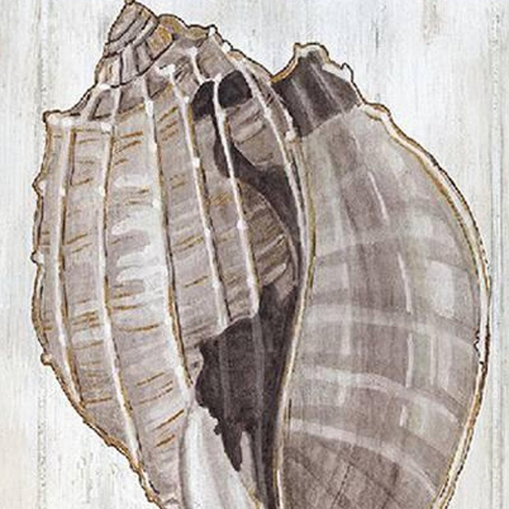 Set Of Two Ocean Cone Distressed White Framed Wall Art HomeRoots
